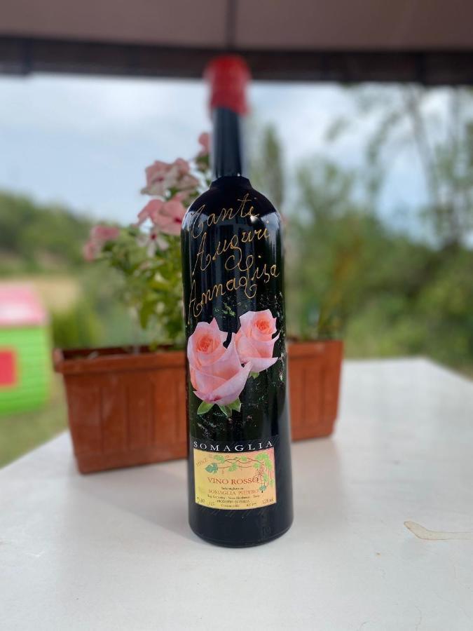 לינה וארוחת בוקר Vaglio Serra A Casa Di Anna מראה חיצוני תמונה